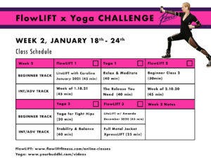 FlowLIFT challenge week 2